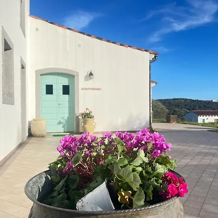 Tenute Testoni E * Bassacutena